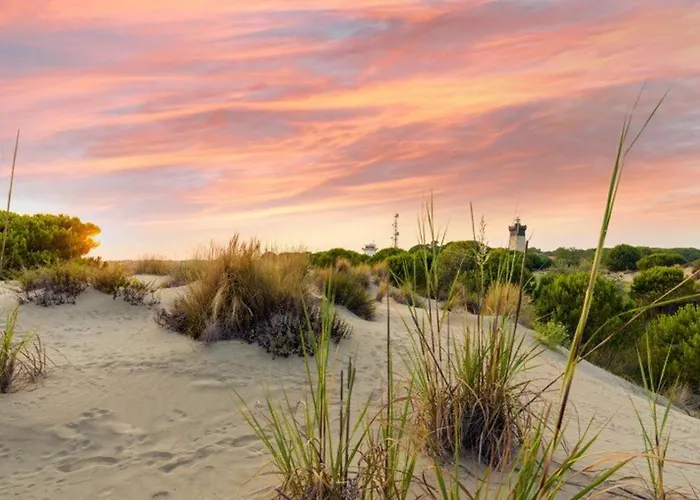 Maison Climatisee Avec Mezzanine, Parking Securise, Proche Et Commerces - Fr-1-307-132 Apartment